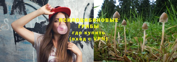 ПСИЛОЦИБИНОВЫЕ ГРИБЫ Богородск