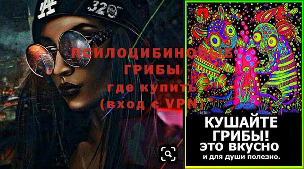 винт Белокуриха