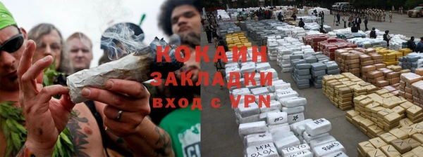 ПСИЛОЦИБИНОВЫЕ ГРИБЫ Богородск
