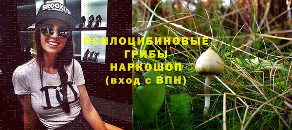 амф Белоозёрский